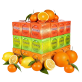 katran-synapse-orange-0261m-1000m1-removebg-preview.png